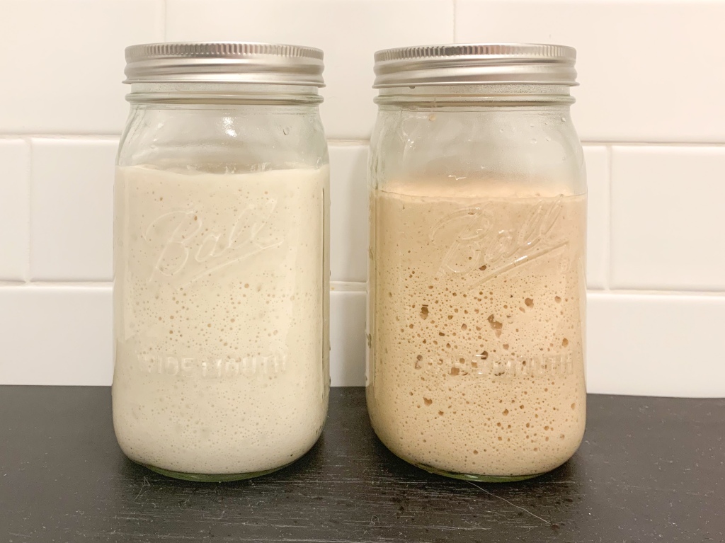 On Why: Sourdough Starter Issues & FAQs